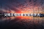 父姓王母姓褚宝宝名字大全、《王褚宝宝名字大全：汇聚百家姓之美》