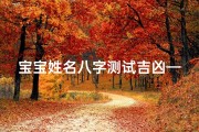 宝宝姓名八字测试吉凶—宝宝测名字生辰八字免费