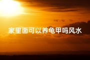 家里面可以养龟甲吗风水;家中养龟甲风水适宜吗？