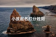 小孩起名打分姓刘