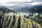 小孩姓钟起名男孩—《钟氏童趣：小小钟家乐翻天》