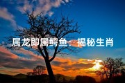 属龙即属鳄鱼：揭秘生肖奥秘