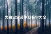 男猪宝宝带木取名字大全(猪年男生名字大全)