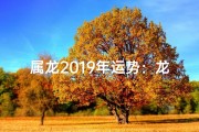 属龙2019年运势：龙腾四海，运势亨通