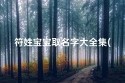符姓宝宝取名字大全集(符姓宝宝起名字大全符姓宝宝取什么名好听)