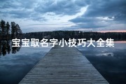 宝宝取名字小技巧大全集;《宝宝取名小技巧大全集：创意命名攻略》