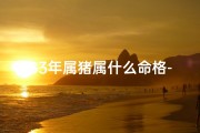 83年属猪属什么命格-83年属猪命格揭秘：探寻生肖猪的独特命运轨迹