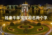 姓秦牛年宝宝起名两个字—《秦宝宝：闪耀童心的璀璨之星》