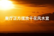 客厅正方摆放干花风水宜忌解析