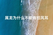 属龙为什么不能有招风耳—属龙能否呼风唤雨之谜揭晓