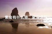 紫金有什么庙、紫金求签：神秘寺庙里的灵验之旅