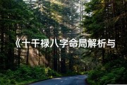 《十干禄八字命局解析与应用》