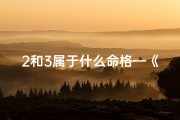 2和3属于什么命格—《揭秘：2与3的神秘命格之谜》