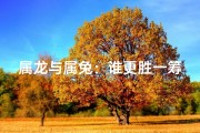 属龙与属兔：谁更胜一筹？