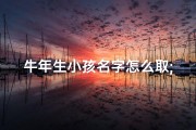 牛年生小孩名字怎么取;《牛年宝宝取名秘籍：如何为牛宝宝起一个好名字》