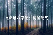《命硬八字硬：揭秘硬气人生的奥秘》