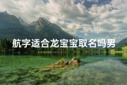 航字适合龙宝宝取名吗男孩