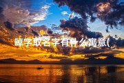 晫字取名字有什么寓意(《儇字取名吉凶详解大全及吉祥寓意解析》)