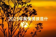 2023年属兔男孩是什么命格呢,2023年属兔男孩命格揭秘：运势详解