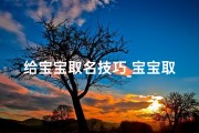 给宝宝取名技巧_宝宝取名攻略：巧用技巧，打造好听名字