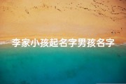 李家小孩起名字男孩名字大全_《李家宝贝：男孩名字大全精选》