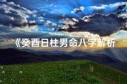 《癸酉日柱男命八字解析：揭秘命运之谜》