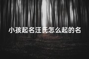 小孩起名汪氏怎么起的名字