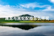 属龙与属蛇配婚怎么样呢、属龙属蛇配婚：相吸还是相克？
