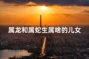 属龙和属蛇生属啥的儿女(属龙和属蛇生个什么宝宝好)