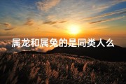 属龙和属兔的是同类人么