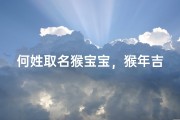何姓取名猴宝宝，猴年吉祥名字灵感大全