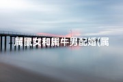 属鼠女和属牛男配婚(属鼠女和属牛男配婚吗)