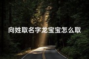 向姓取名字龙宝宝怎么取-《向姓龙宝宝取名：传承文化，寓意吉祥》