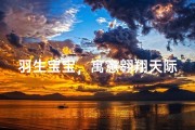 羽生宝宝，寓意翱翔天际，灵动可爱的名字推荐