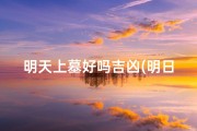 明天上墓好吗吉凶(明日上坟是吉是凶)