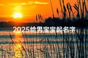 2025给男宝宝起名字(2025楚辞男孩名字大全集,宝妈取名首选)