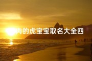 带肉的虎宝宝取名大全四个字(属虎男孩带肉的字)