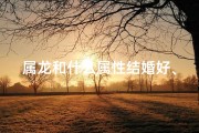 属龙和什么属性结婚好、属龙新娘婚配禁忌：揭秘相冲之谜