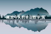 属龙今天的幸运数字;属龙人今日吉祥数字：好运连连，财富滚滚