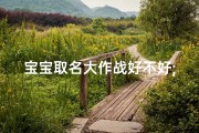 宝宝取名大作战好不好;《宝宝取名大作战：好名字诞生记》