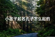 小孩子起名孔子怎么起的-孔子小名叫什么