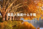 属龙人佩戴什么手镯