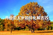月份犯太岁如何化解吉凶方法—《每月犯太岁化解吉凶指南》