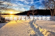 付姓孩子起名字大全男孩(付姓男孩有内涵的名字付姓男孩名字独一无二)