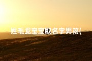 姓毛龙宝宝取名字男孩(《毛龙宝宝：传承龙脉，龙腾四海的男孩名字》)