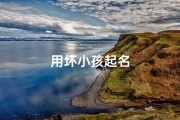 用坏小孩起名