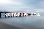 《双正官男命格：揭秘命运奥秘》