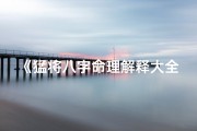 《猛将八字命理解释大全深度解析》