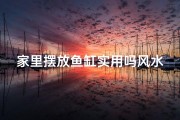 家里摆放鱼缸实用吗风水好吗视频(鱼缸摆放实用风水解析：家居风水必备良品)