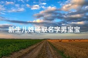 新生儿姓杨取名字男宝宝取什么